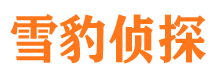 施甸市私家调查